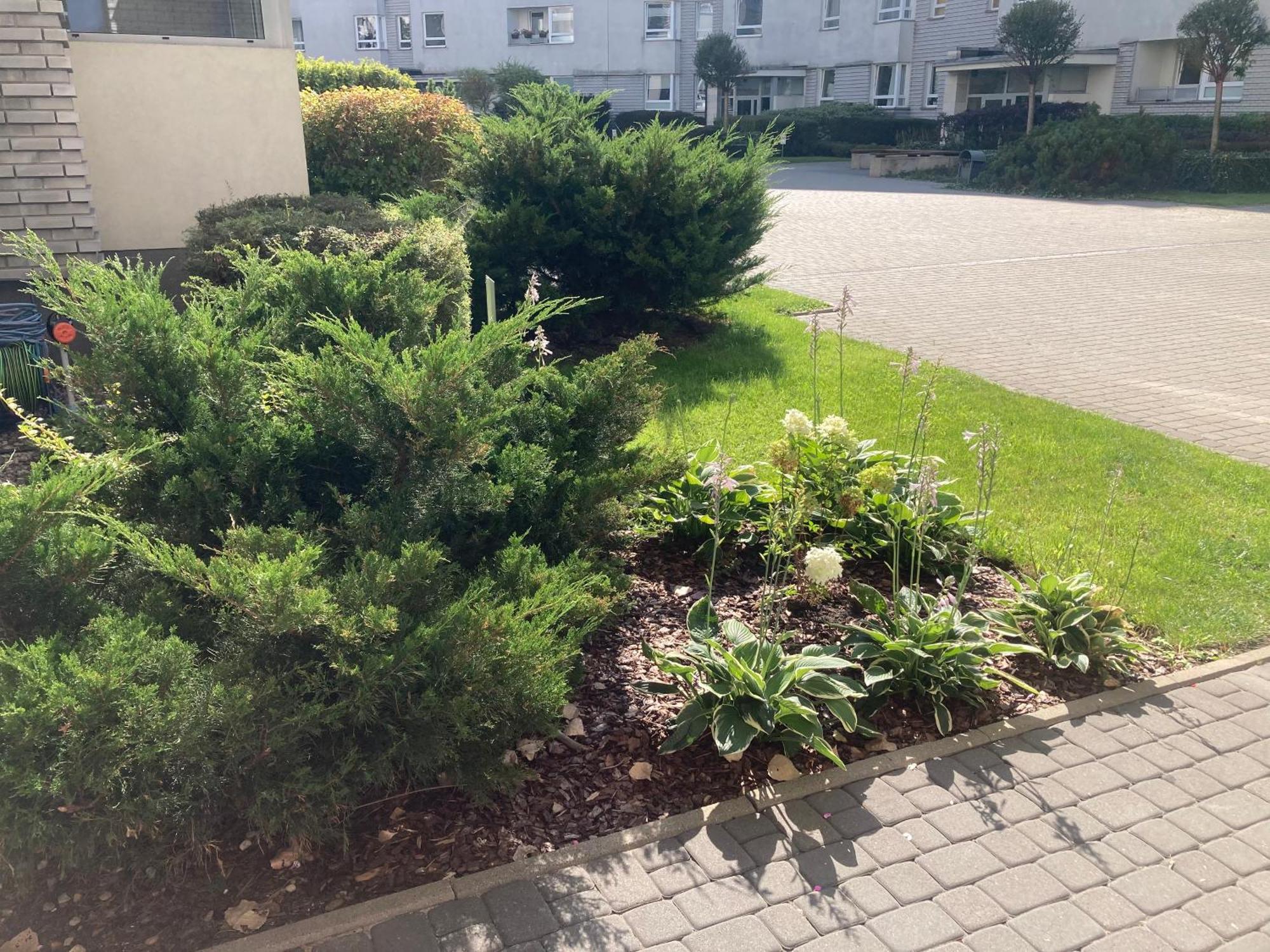 Przestronny Apartament Na Dolnej Варшава Экстерьер фото